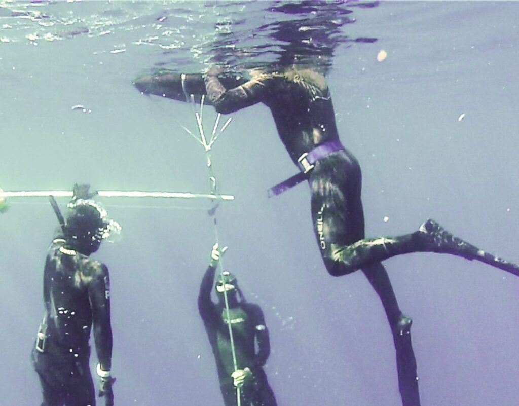 Freediving Courses